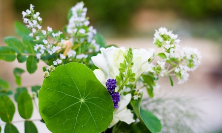 funeral plan questions